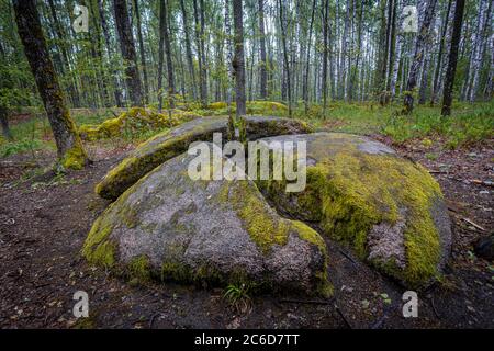 pietra nella foresta è spezzata in quattro parti. Il tempio antico. Foto Stock