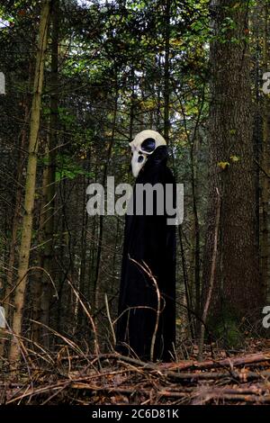 Halloween vacanze . Costume cranio. Spaventoso uccello nel buio autunno Forest.Horror e paura. Mistero Foto Stock