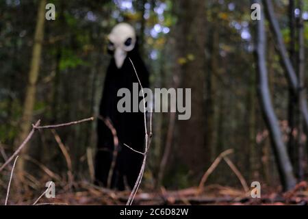 Halloween vacanze . Costume cranio. Spaventoso uccello nel buio autunno Forest.Horror e paura. Storie di mistero e terribili . Simbolo fantasia scuro. Foto Stock