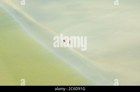 Paesaggio con la bocca del fiume visto da Mont Saint Michel e unriconoscibile coppia a piedi a bassa marea del fondo dell'oceano lontano. Libertà, piccoli pers umani Foto Stock