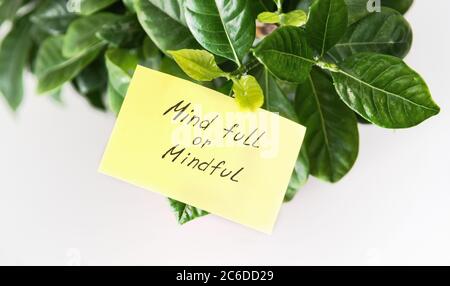Nota di adesione con il testo 'Mind pieno o memful' sulla pianta verde domestica. Foto Stock