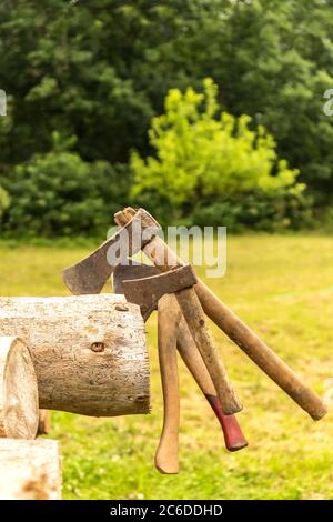 Vecchi assi arrugginiti bloccati in un blocco di pino. Strumenti Lumberjack. Lavorare in foresta. Preparazione del legno per il riscaldamento. Foto Stock