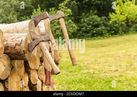 Vecchi assi arrugginiti bloccati in un blocco di pino. Strumenti Lumberjack. Lavorare in foresta. Preparazione del legno per il riscaldamento. Foto Stock