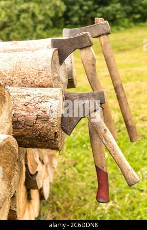 Vecchi assi arrugginiti bloccati in un blocco di pino. Strumenti Lumberjack. Lavorare in foresta. Preparazione del legno per il riscaldamento. Foto Stock