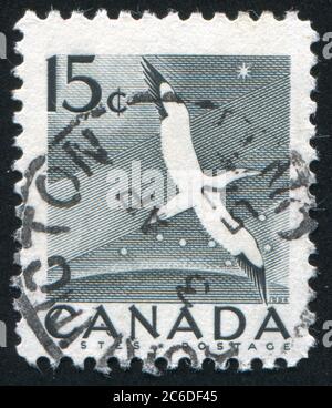 CANADA - CIRCA 1954: Francobollo stampato dal Canada, spettacoli Stork, circa 1954 Foto Stock