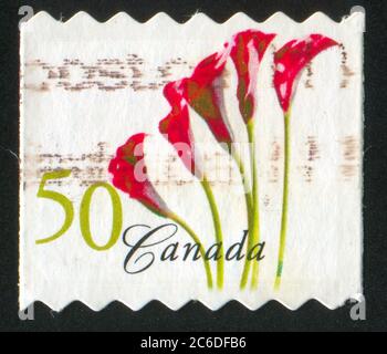 CANADA - CIRCA 2004: Francobollo stampato dal Canada, mostra Red Calla Lilies, circa 2004 Foto Stock