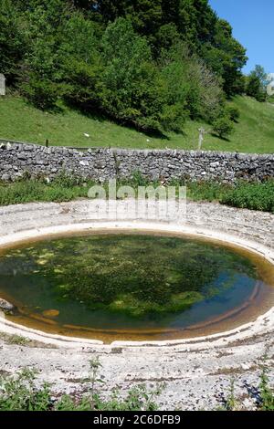 Circolare o circolare cemento fiancheggiato Wildlife Pond o piscina, una forma di Wildlife Habitat Management o Nature Conservation a giugno, Regno Unito Foto Stock