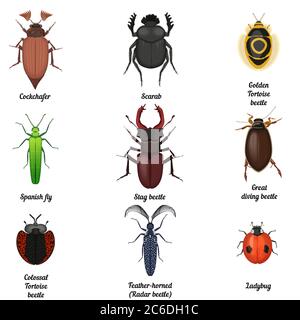 Set di icone di insetti. Beetle bug icona raccolta entomologica. Vista dall'alto di coleotteri e insetti Illustrazione Vettoriale