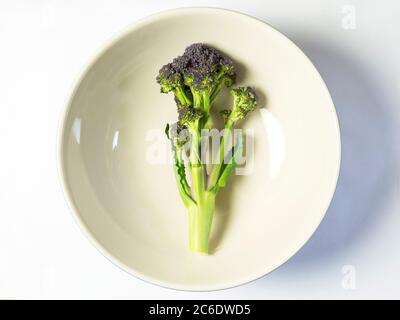 Un gambo di broccoli porpora in un piatto centrato su uno sfondo bianco Foto Stock