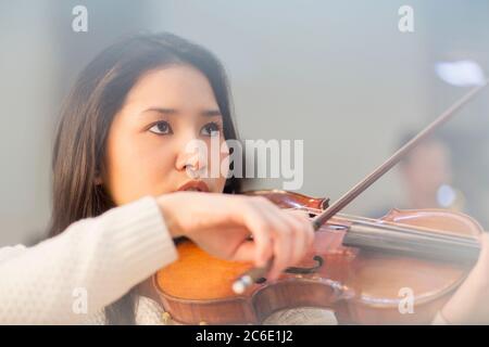 Violinista focalizzato Foto Stock