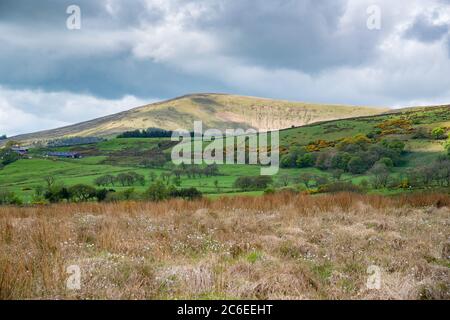 Paesaggio di terreni agricoli e campane, Chipping, Preston, Lancashire. Foto Stock