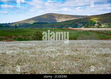 Vista di Parlick Fell, Chipping, Preston, Lancashire, Regno Unito Foto Stock