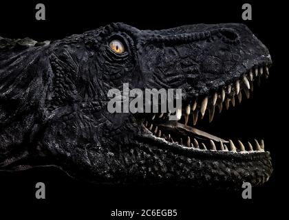 Testa di dinosauro Trex con bocca aperta isolata su sfondo nero Foto Stock