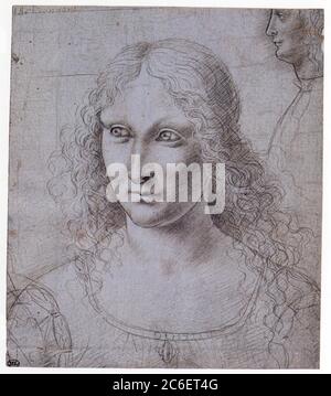 MAESTRO DELLA PALA SFORZESCA. RITRATTO DELLA DONNA HALF-LENGH , PROFILO DI UN GIOVANE Foto Stock