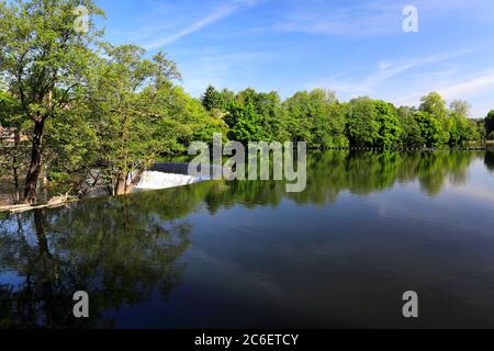 Vista primaverile dei River Gardens, del fiume Derwent, della città di Belper, della valle d'Amber, delle valli del Derbyshire, Inghilterra, Regno Unito Foto Stock