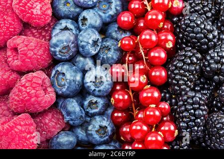 Bacche fresche diverse come sfondo. Varie bacche estive fresche, vista dall'alto. Da vicino mirtilli, lamponi e ribes rosso. Foto Stock