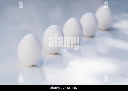 Ancora vita di diverse uova in luce dapped su uno sfondo bianco. Foto Stock