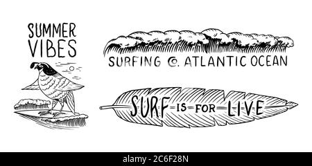 Badge Surf, logo Vintage Surfer. Onda retro e uccello e foglia tropicale. Estate California. Emblema inciso disegnato a mano. Banner o poster. Illustrazione Vettoriale