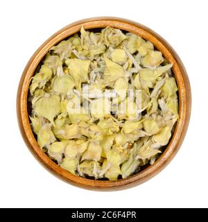 Tè greco di montagna in ciotola di legno. Conosciuto anche come ironwort, Sideritis o tè pastori. Piante di fiori essiccate usate come medicina di erbe e tè. Foto Stock