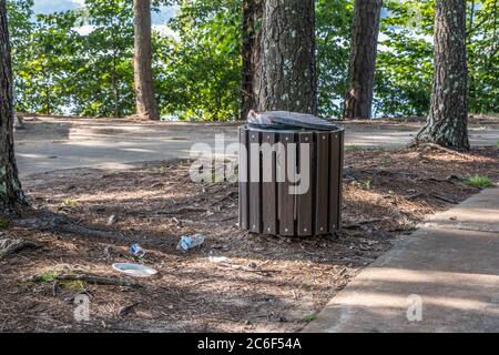 Bottiglia di plastica una piastra e altri rifiuti scaricati sul terreno a causa di un traboccamento di rifiuti può nel parco inquinando l'ambiente in una giornata di sole Foto Stock