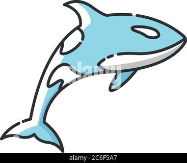 Icona colore RGB Orca. Pericoloso animale da nuoto, vita marina, fauna oceanica. Carnivoro creatura acquatica, predatore subacqueo. Vettore isolato i di balene killer Illustrazione Vettoriale