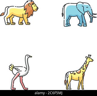 Set di icone RGB per la fauna selvatica africana. Fauna esotica, predatore tropicale e animali erbivori. Leone, elefante, giraffa e struzzo. Vettore isolato illu Illustrazione Vettoriale