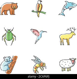 Set di icone di colore RGB per specie animali. Uccelli volanti, animali terrestri e creature marine. Fauna selvatica diversa, esotica e fauna ordinaria. Illustratore di vettori isolati Illustrazione Vettoriale