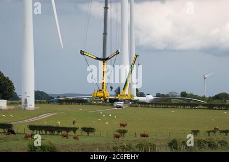 LARKHALL, Scozia, Regno Unito. 9 luglio 2020. Nella foto: Una turbina eolica enorme si erge a poche centinaia di metri di altezza mentre le sue pale si stese a terra pronto per essere attaccate. L'energia verde è un'impresa importante, e se il Regno Unito intende archiviare i propri obiettivi per l'energia rinnovabile, allora occorre costruire più turbine eoliche onshore e offshore. Credit: Colin Fisher/Alamy Live News Foto Stock