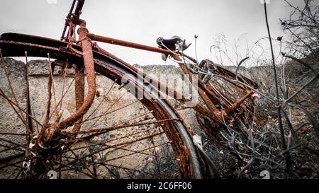 fotografia malinconica di una bicicletta arrugginita dimenticata che si stesa tra arbusti asciutti a una parete intemperie Foto Stock