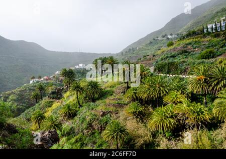 Masca nel comune di Buenavista del Norte de Tenerife nelle Isole Canarie. Spagna Foto Stock