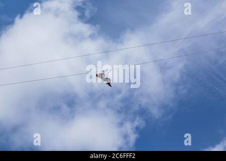 Monteverde, Costa Rica - 26 agosto 2019: Giovane donna avventurosa zip lining attraverso la foresta. Monteverde, Costa Rica. Foto Stock