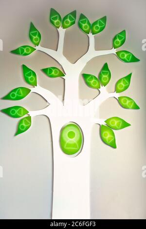 Immagine di albero con foglie verdi con persone, albero di famiglia o business Tree concetto su sfondo muro Foto Stock