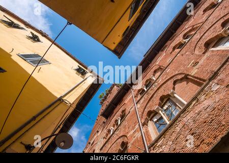 Lucca - 14 agosto 2019: Vista della torre Guinigi dal basso nel centro storico di Lucca, Toscana Foto Stock