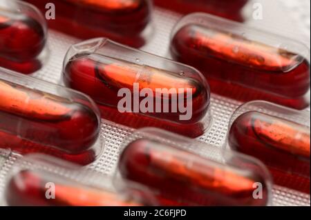 Primo piano su pillole di olio di krill Foto Stock