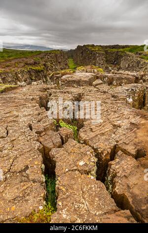 Vista della valle del rift che segna la cresta del crinale medio-Atlantico e il confine tra le placche tettoniche nordamericane ed eurasiane. Cosa Foto Stock