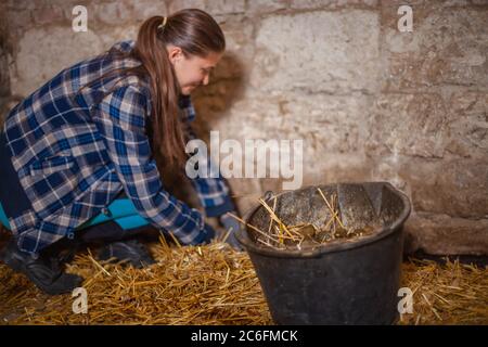 Giardiniere con una carriola grigia e una pala. Ragazza in una cazzuola a scacchi blu su sfondo giallo rotola un carrello. Foto Stock