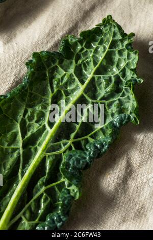 Crudo Green biologico toscano Dinosaur Kale in un mazzo Foto Stock