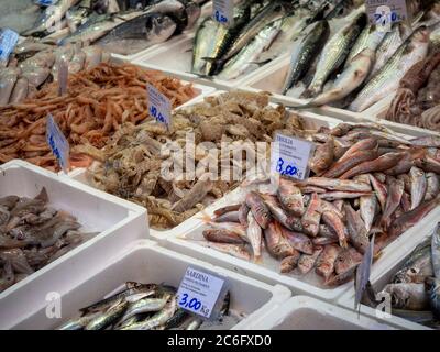 Pesce fresco in mostra alla Perscheria Brunelli, situata in Via Drapperie. Bologna, Italia. Foto Stock