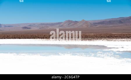 Lagune nascoste di Baltinache o sette lagune, uno dei luoghi segreti del deserto di Atacama, Cile Foto Stock