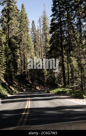 Paesaggi naturali che guidano lungo l'autostrada generale nella Sequoia National Forest. Foto Stock