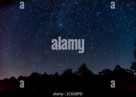 Milky Way Galaxy in Starry Night Sky e Forest Tree Silhouettes, Germania, Europa Foto Stock