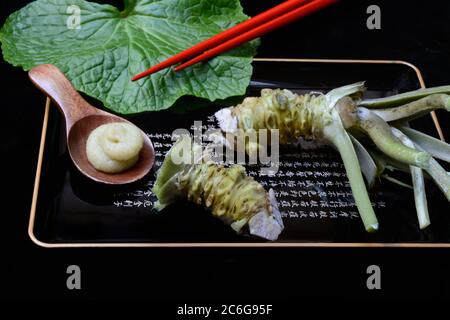 Radici di Wasabi e pasta di wasabi su vassoio con bastoncini, Germania Foto Stock