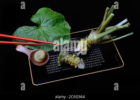 Radice di Wasabi e pasta di wasabi su vassoio con bastoncini, Germania Foto Stock
