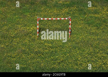 Prato, dente di leone, periodo di quarantena, abbandonato obiettivo di calcio, Karlovy Vary, Repubblica Ceca Foto Stock