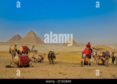 Carovana a cammello nel deserto di fronte alla Grande Piramide di Giza, la Piramide di Khafre, Piramide di Menkaure sull'altopiano di Giza Foto Stock