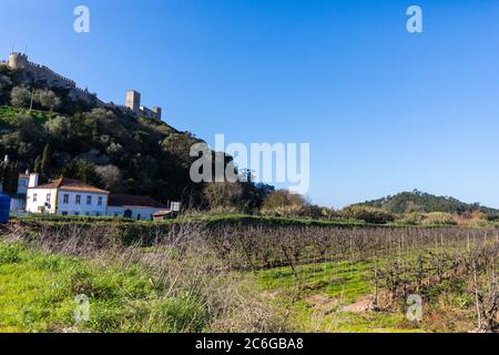 La piccola città di Obidos, Portogallo, che vanta un castello medievale Foto Stock