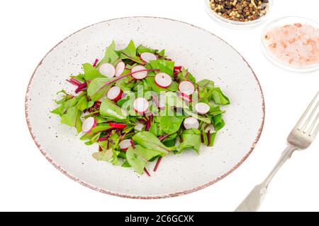 Insalata vegetariana di barbabietole e ravanelli Foto Stock