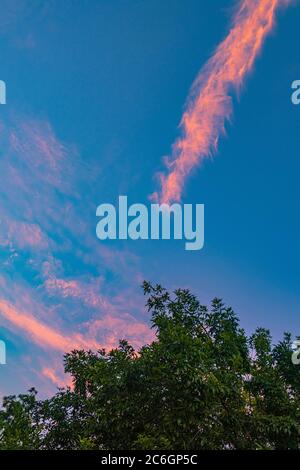 San Diego, California, Stati Uniti. 9 luglio 2020: Un tramonto coruscante pieno di palme e nuvole rosa a San Diego, California, giovedì 9 luglio 2020. Credit: Rishi Deka/ZUMA Wire/Alamy Live News Foto Stock