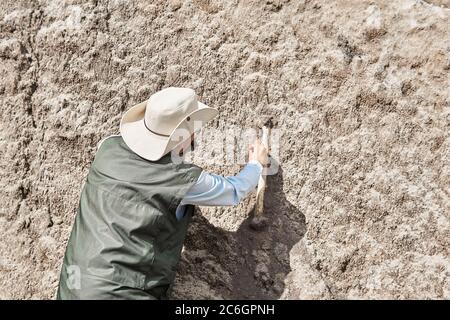 il paleontologo scoprì l'osso fossile e lo pulì con un pennello Foto Stock