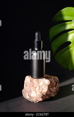 Boccetta contagocce in vetro nero su pietra con foglia di palma tropicale su sfondo scuro. Design di lusso per confezioni cosmetiche Foto Stock